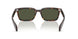 902/31 - Tortoise - Green