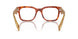 11P1O1 - Brown