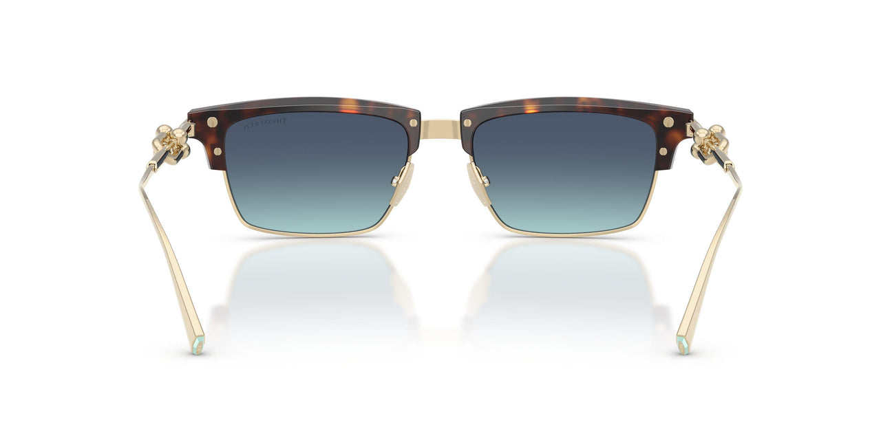 80159S - Tortoise - Azure Gradient Blue