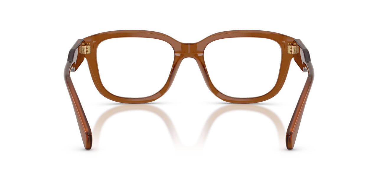22I1O1 - Brown
