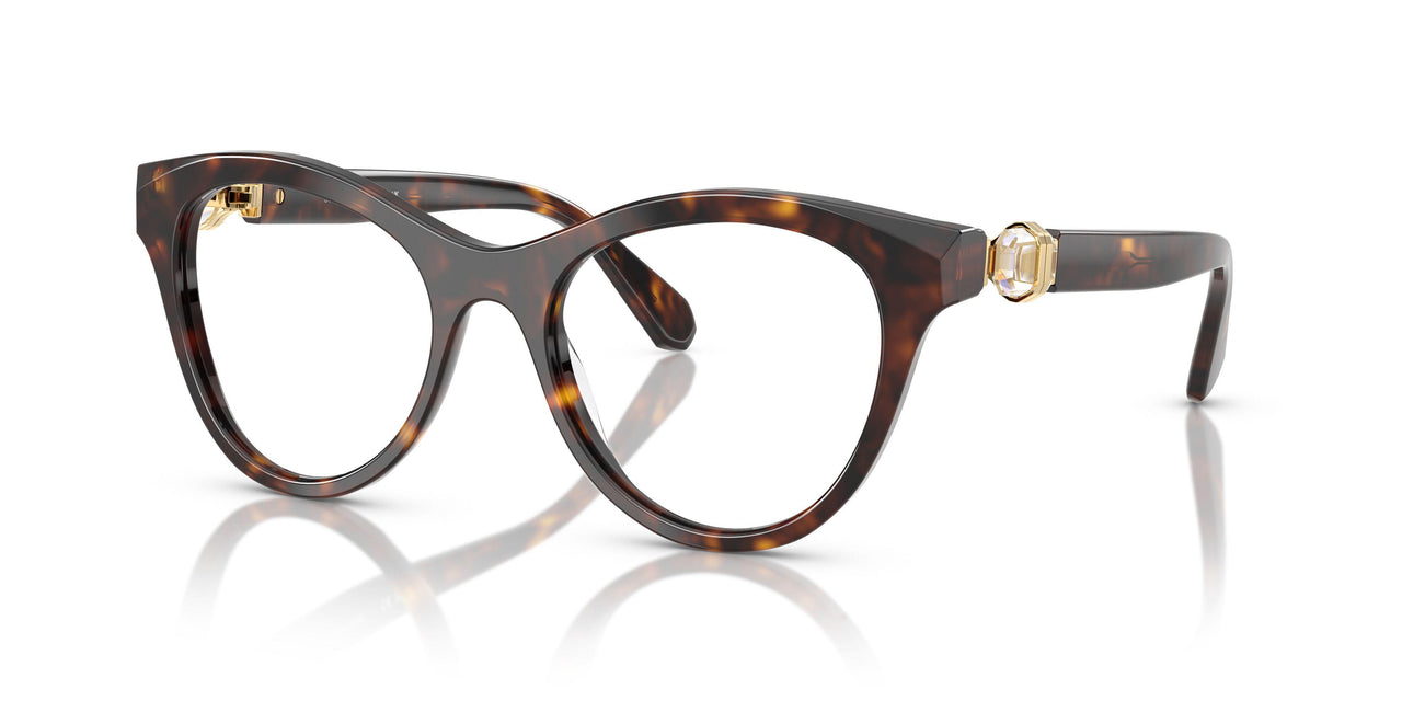 1002 - Brown