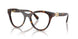 1002 - Brown