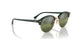 1157 - Spotted Black Havana - Green