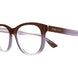 012 - Brown - Transparent