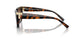 80153B - Tortoise - Brown Gradient