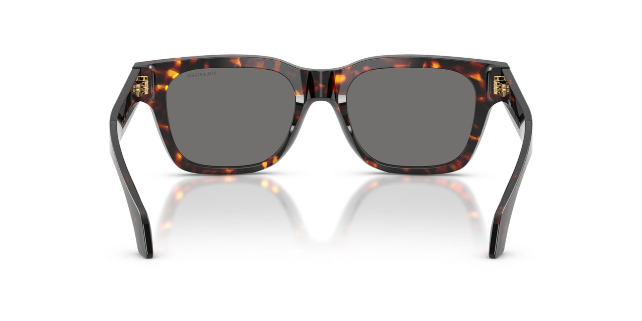 550981 - Tortoise - Dark Grey Polar