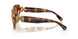 100273 - Tortoise - Dark Brown