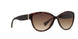 50213 - Tortoise - Brown Smoky Gradient
