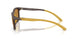 625893 - Brown - Light Brown