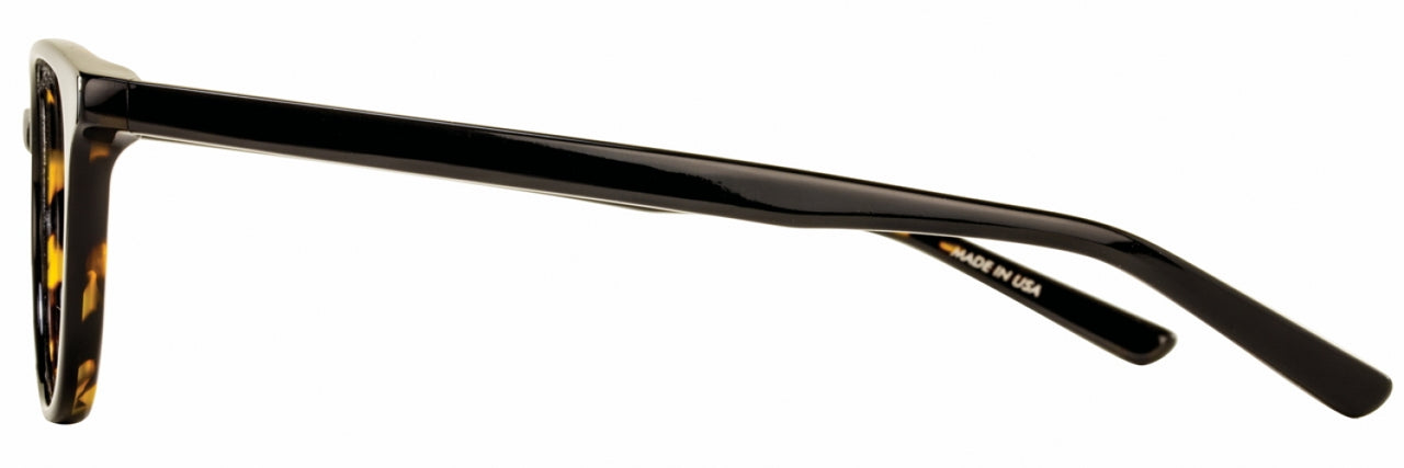 3 - Black / Tortoise