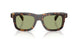 300282 - Tortoise - Green