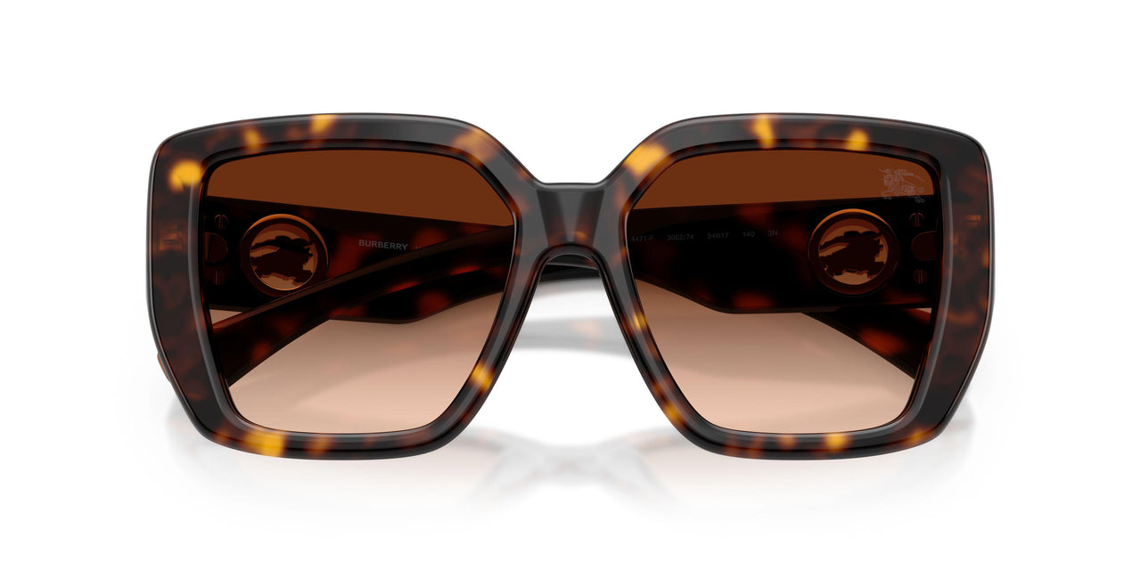 300274 - Brown - Brown Gradient