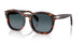 24/S3 - Tortoise - Light Blue Gradient Dark Blue