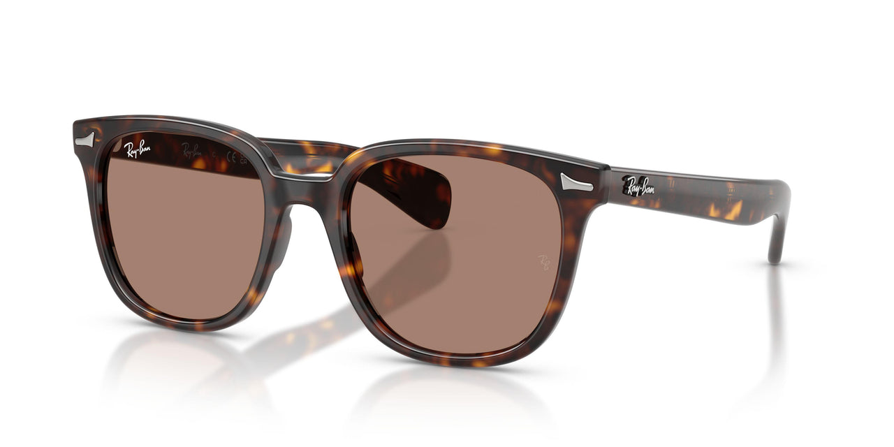 902/1A - Tortoise - Light Violet