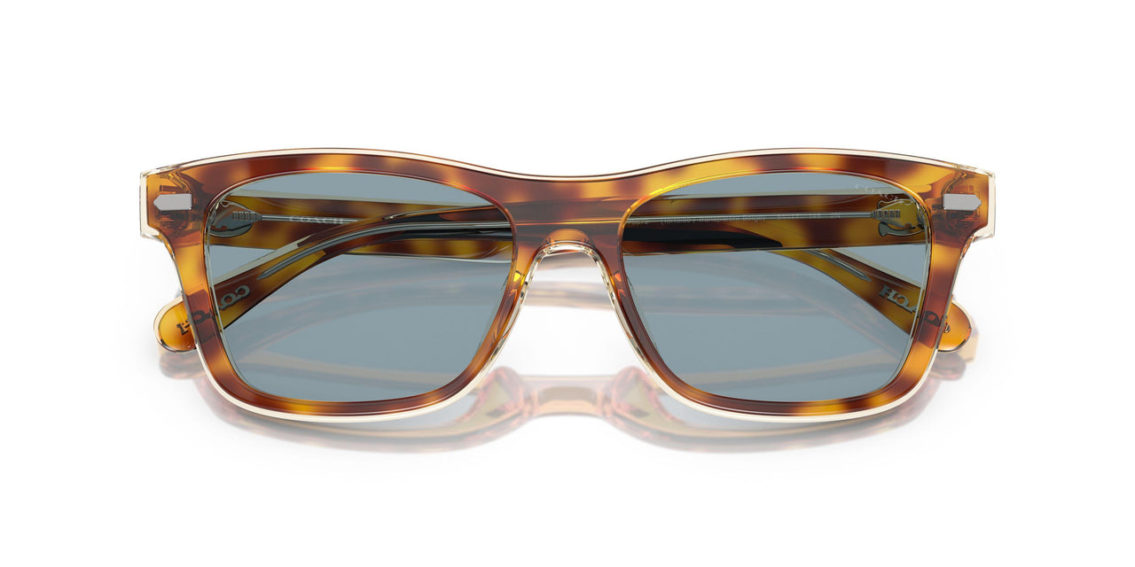 575672 - Tortoise - Light Blue Solid