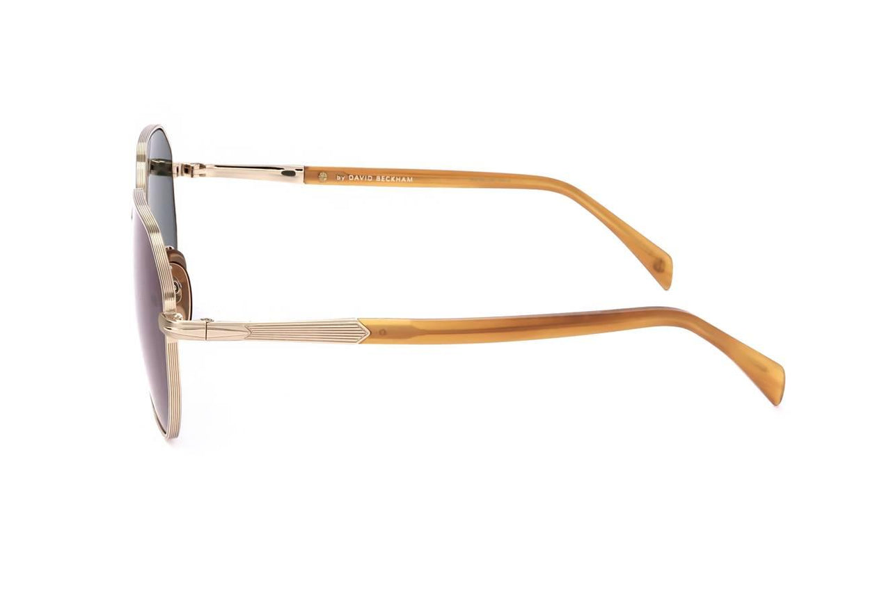 F6W - GOLD HORN