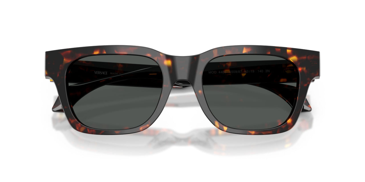 550987 - Tortoise - Dark Grey