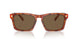 577473 - Tortoise - Brown Solid