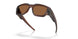 951407 - Brown - Prizm Bronze