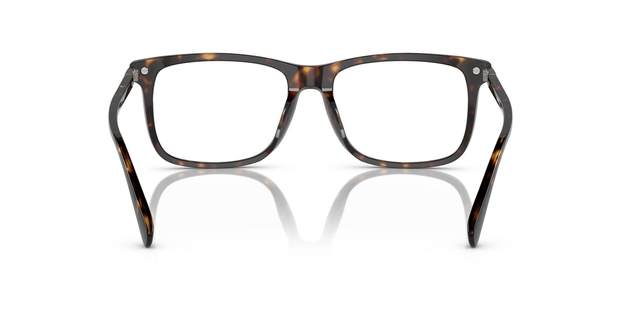 5120 - Tortoise
