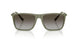 838113 - Green - Gradient Brown
