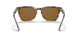 594233 - Brown - Brown