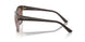 313614 - Brown - Pink Gradient Brown