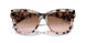 334513 - Tortoise - Brown Pink Gradient
