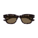 002 - Havana - Brown