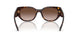 W65613 - Brown - Gradient Brown