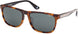 BMW 0056H Sunglasses