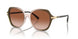 540013 - Olive Beige Gradient - Brown Gradient
