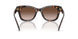 196413 - Tortoise - Brown Gradient