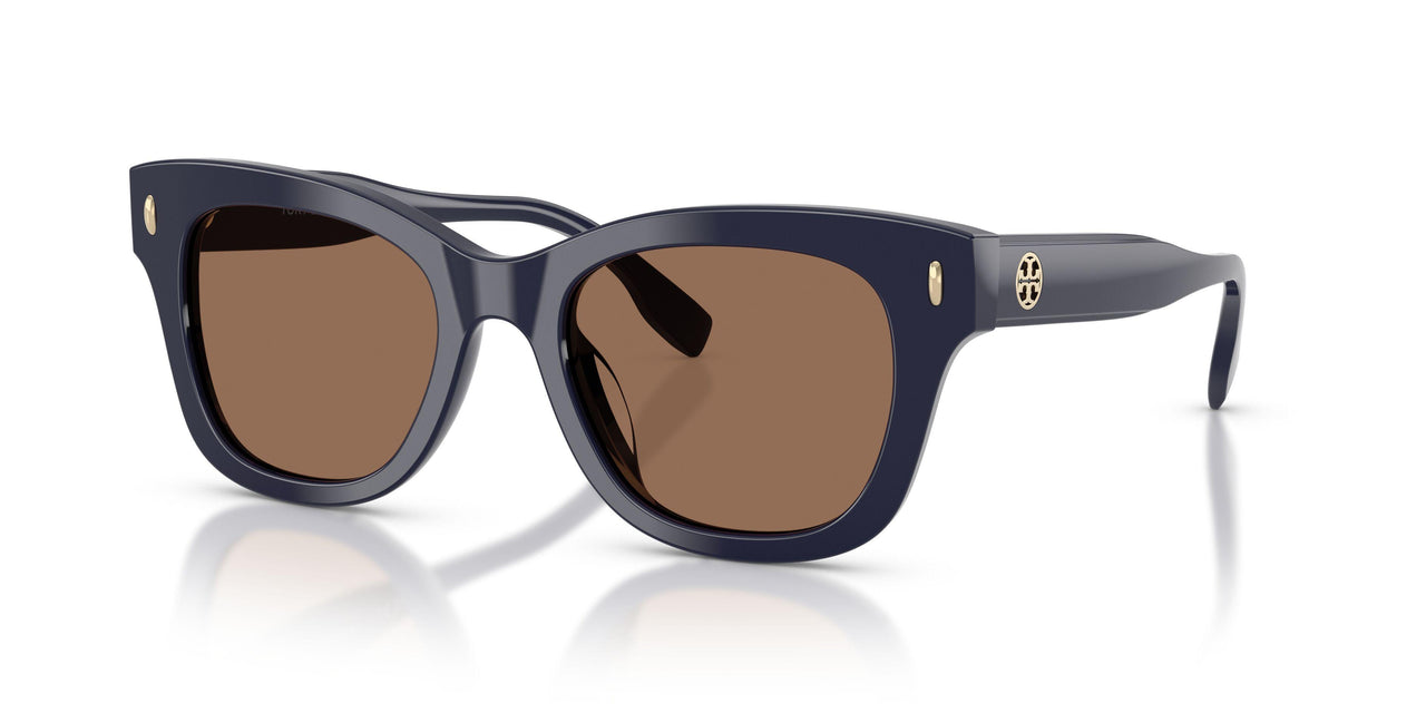 199373 - Blue - Solid Brown