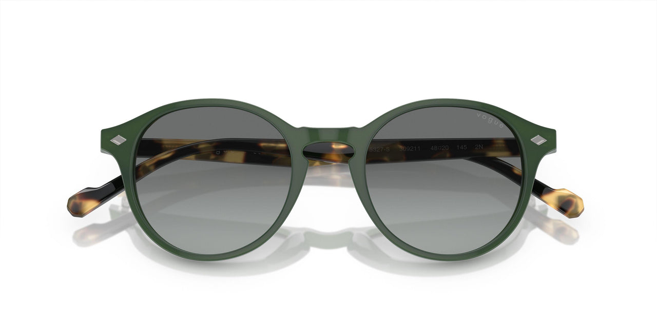 309211 - Green - Grey Gradient
