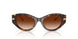 500374 - Brown - Gradient Brown