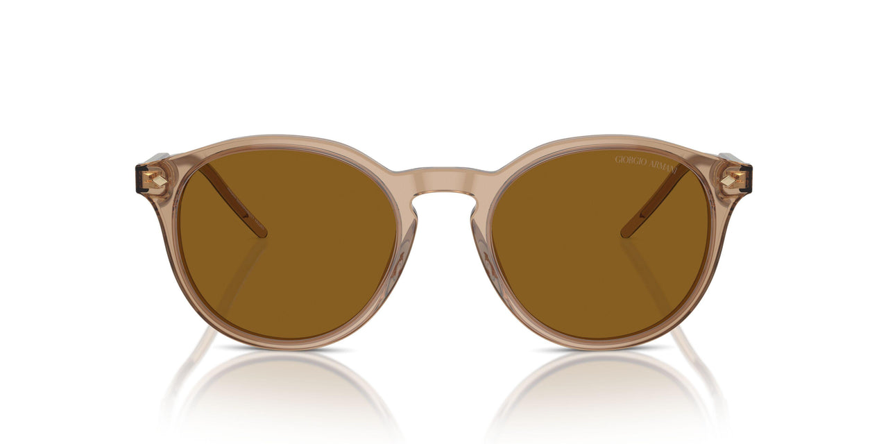 607233 - Brown - Brown