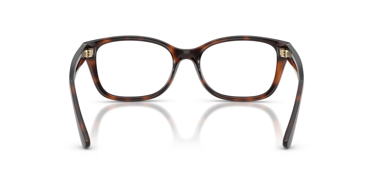 6241 - Tortoise