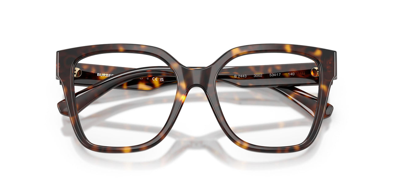 3002 - Brown