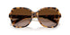 811713 - Havana - Dark Brown Gradient