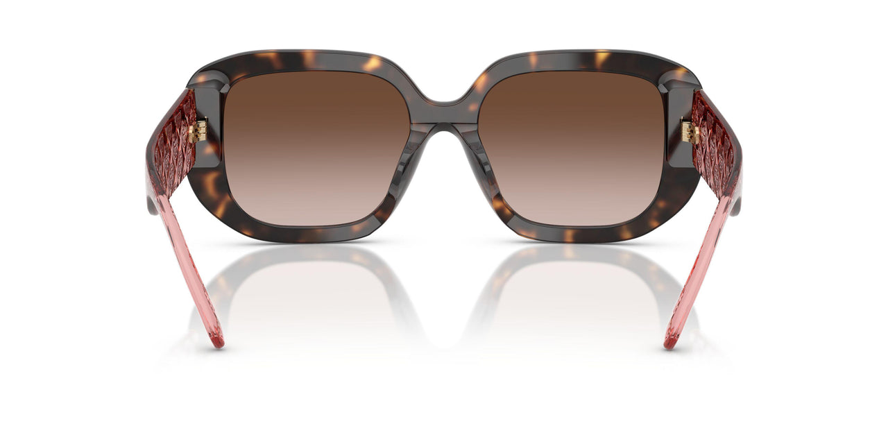 196413 - Tortoise - Gradient Brown
