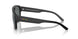 290081 - Black - Polarized Grey