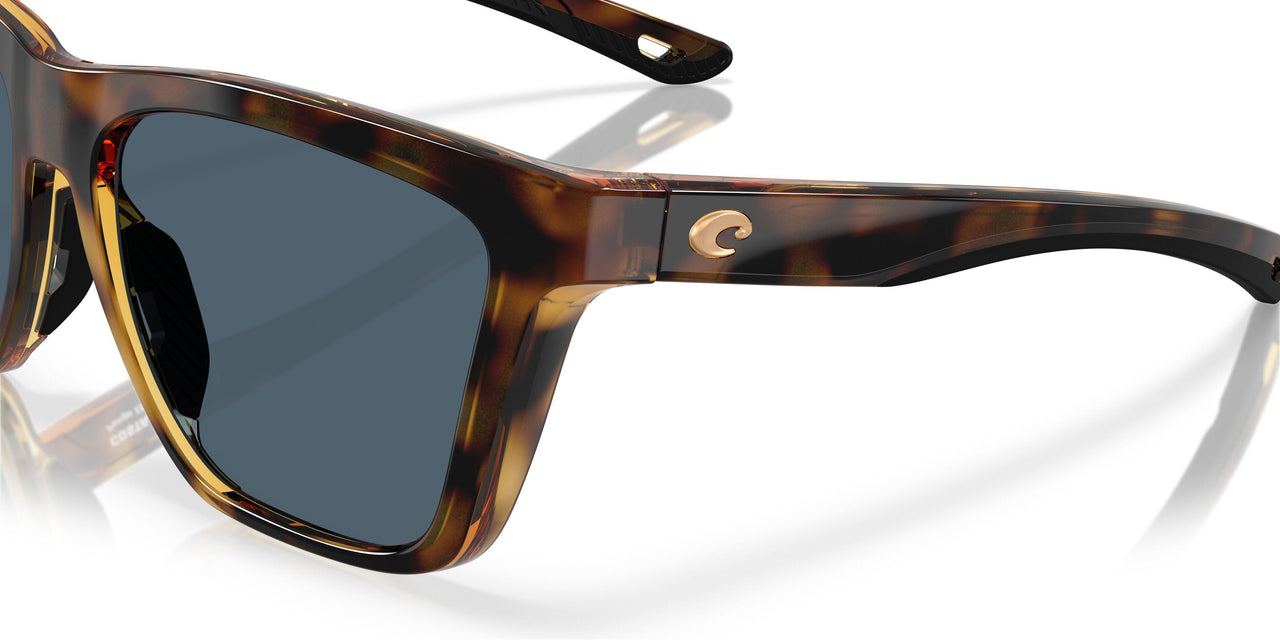 912205 - Tortoise - Gray