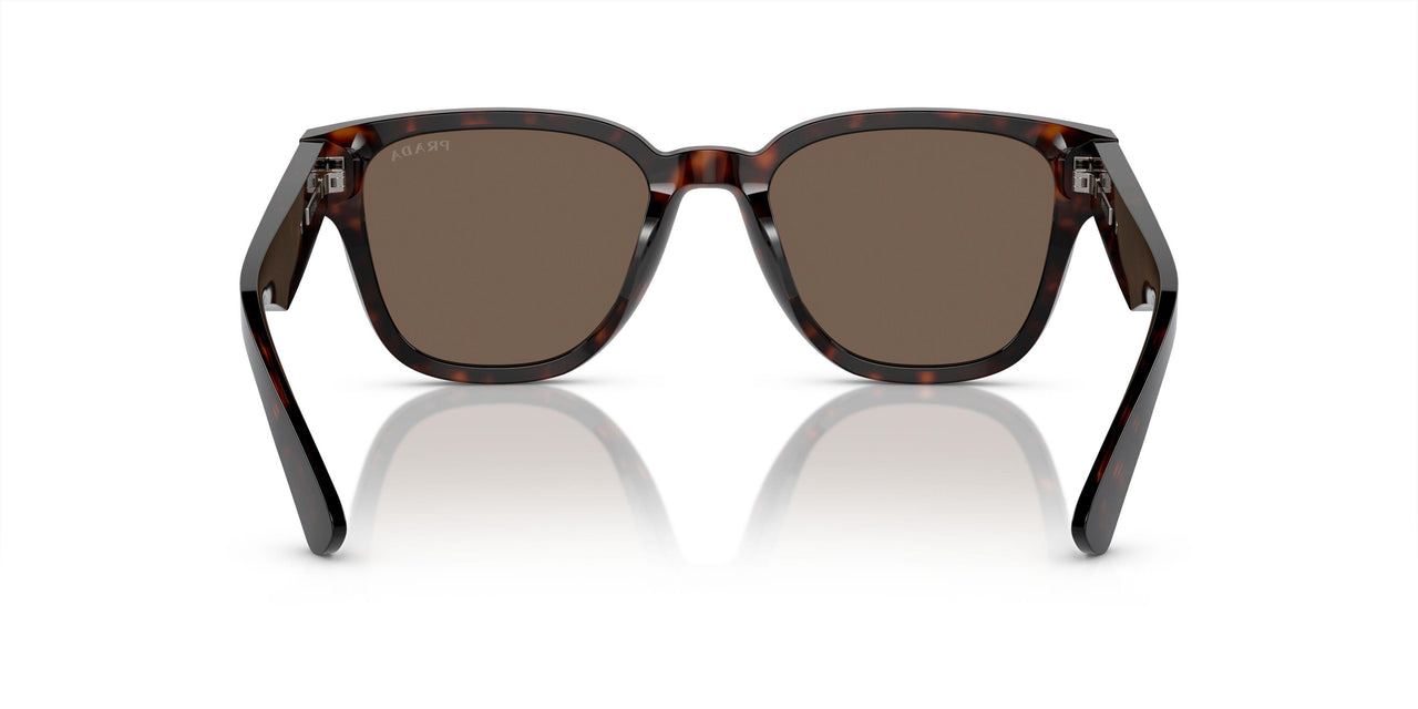 17N08T - Tortoise - Brown