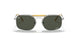 9209P1 - Silver - Polar Dark Green