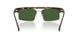 300671 - Tortoise - Green