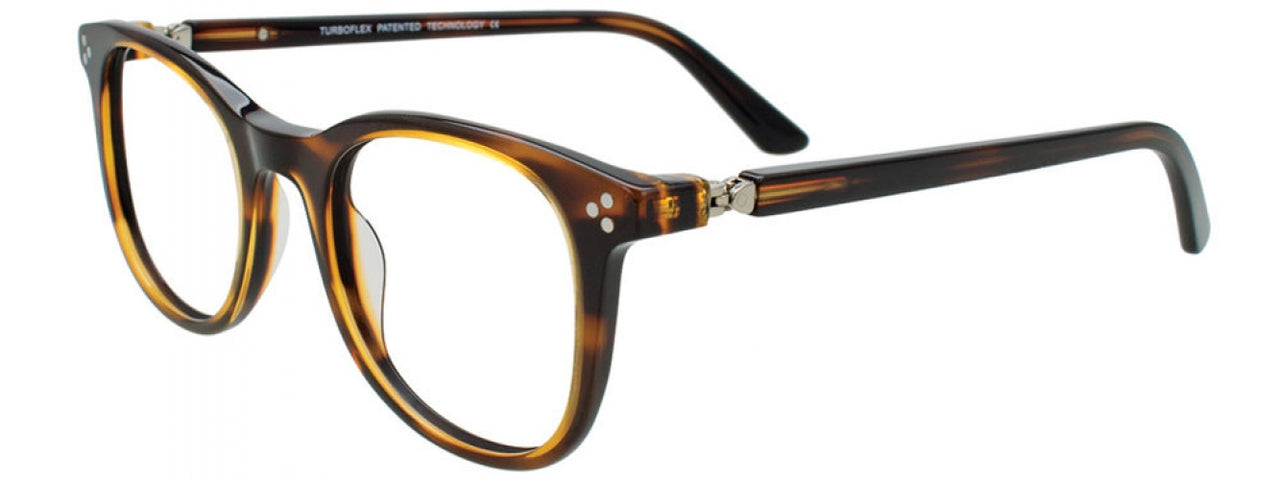 10 - Brown & Tortoise