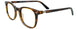 10 - Brown & Tortoise