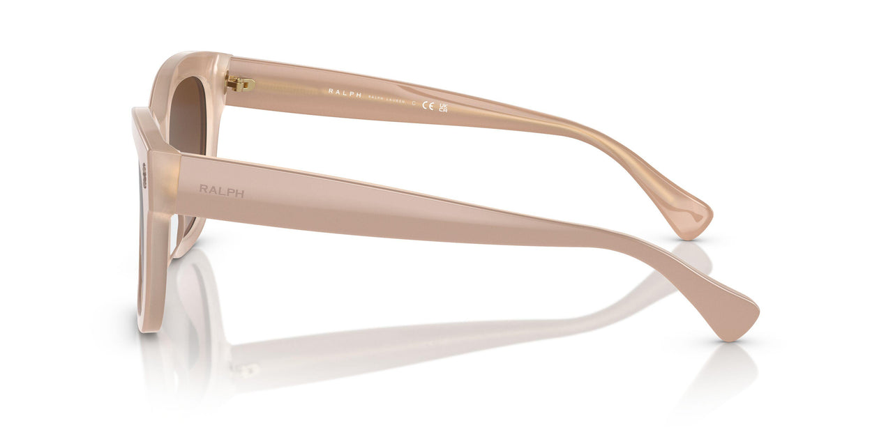 606313 - Beige - Gradient Brown