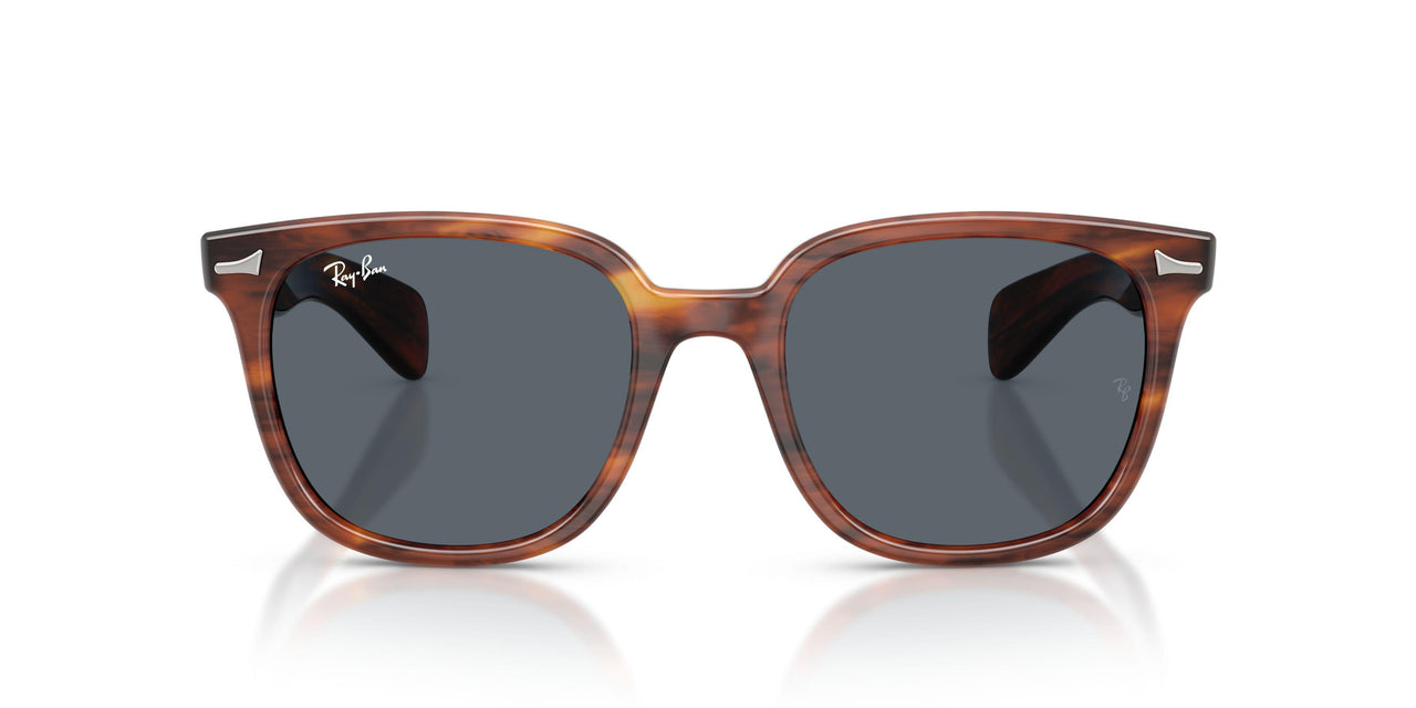 954/R5 - Brown - Blue